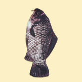 Иқтидори эҷодӣ барои донишҷӯи Crucian Carp қуттии қалам